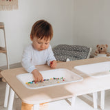 Montessori Sensory Table Set
