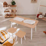 Montessori Sensory Table Set